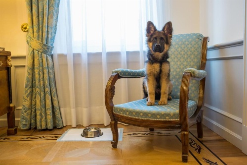 Due Torri Hotel image 7